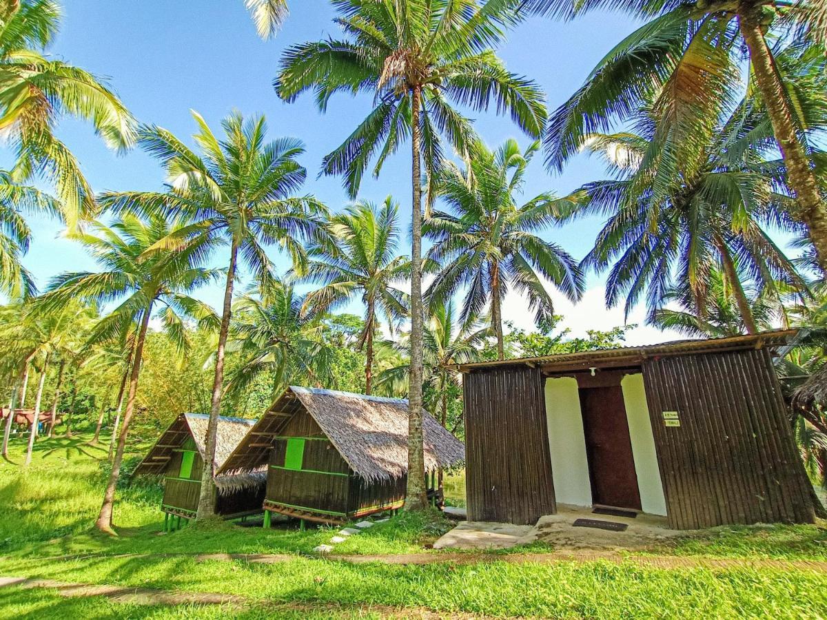 Caliraya Ecoville Recreation And Farm Resort Cavinti Eksteriør billede