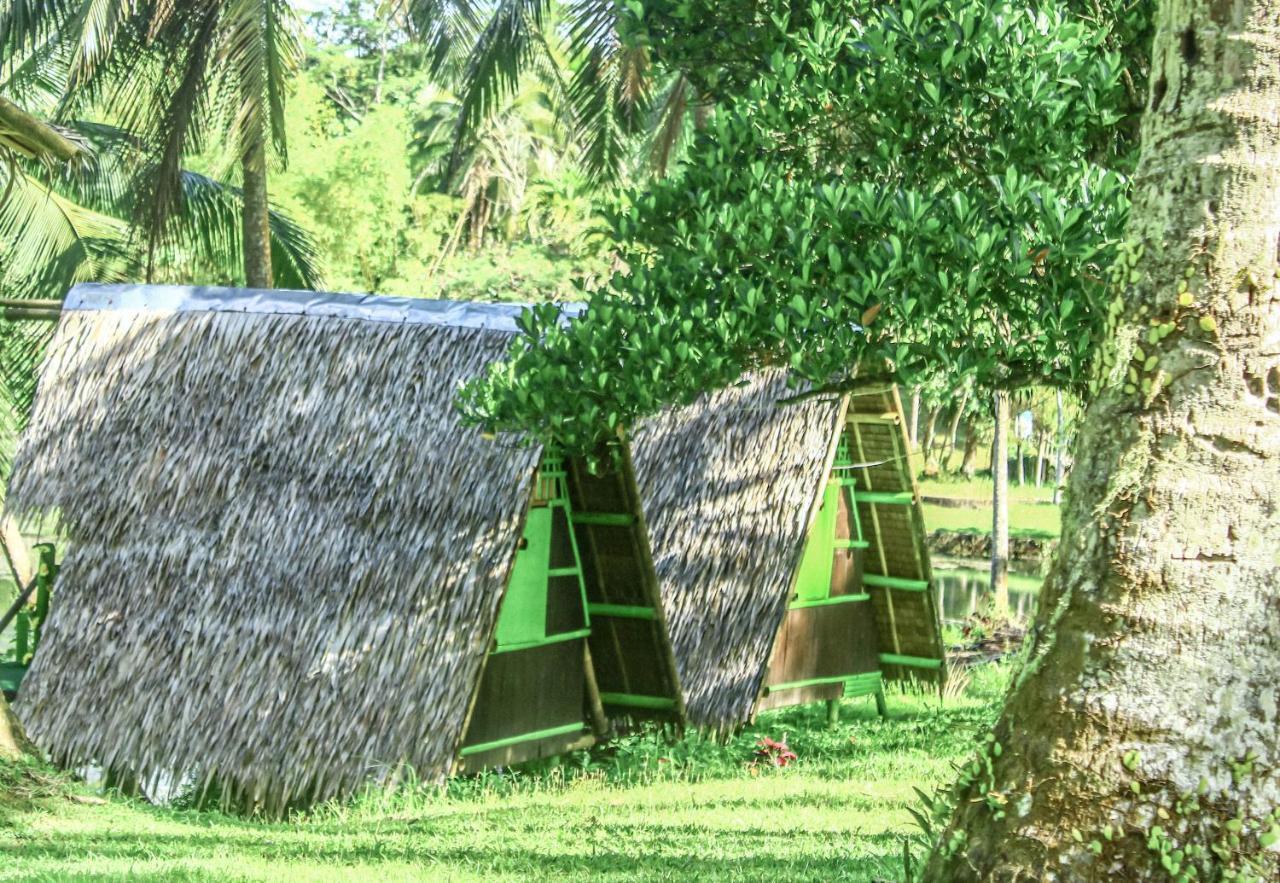 Caliraya Ecoville Recreation And Farm Resort Cavinti Eksteriør billede