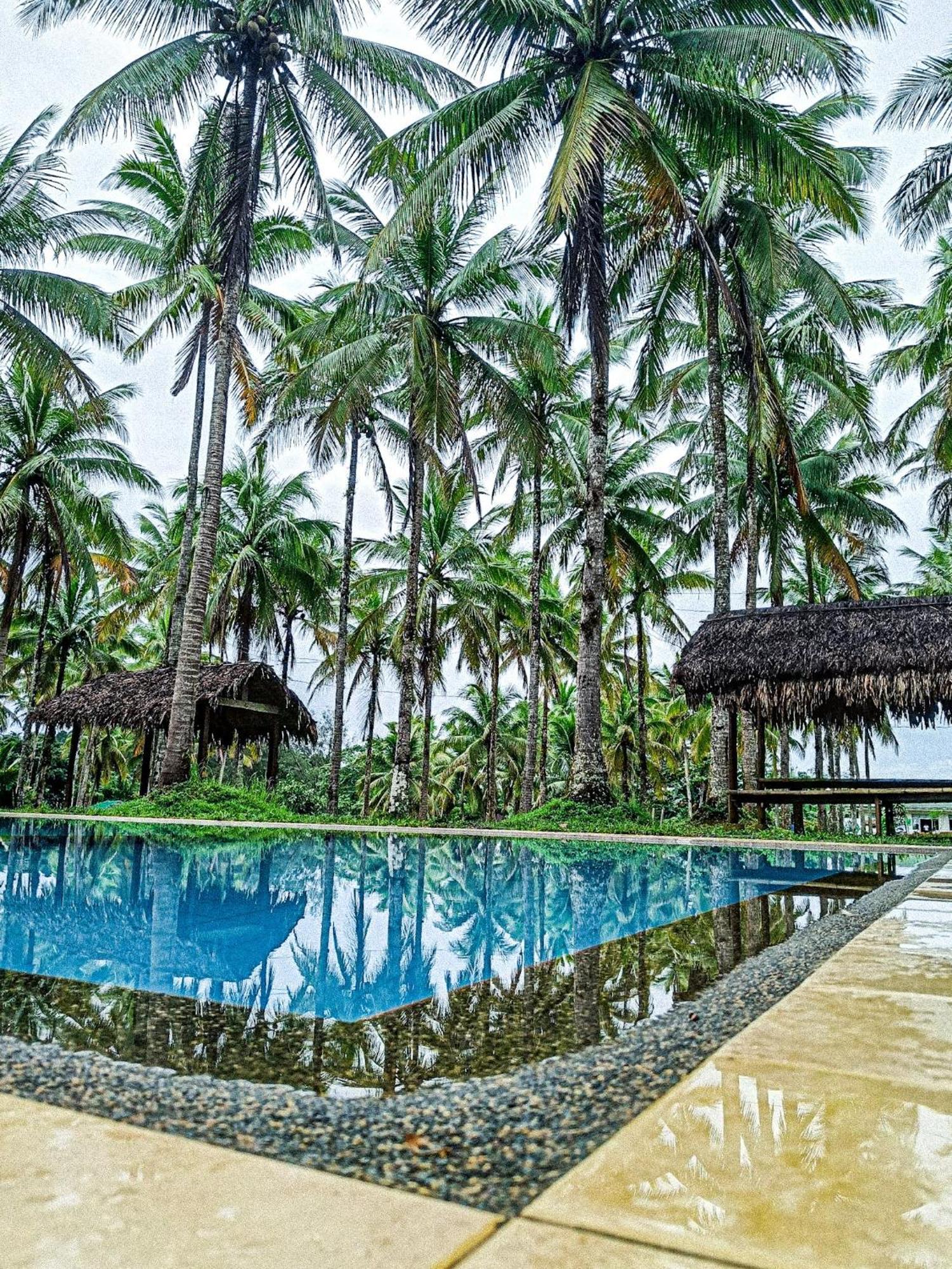 Caliraya Ecoville Recreation And Farm Resort Cavinti Eksteriør billede