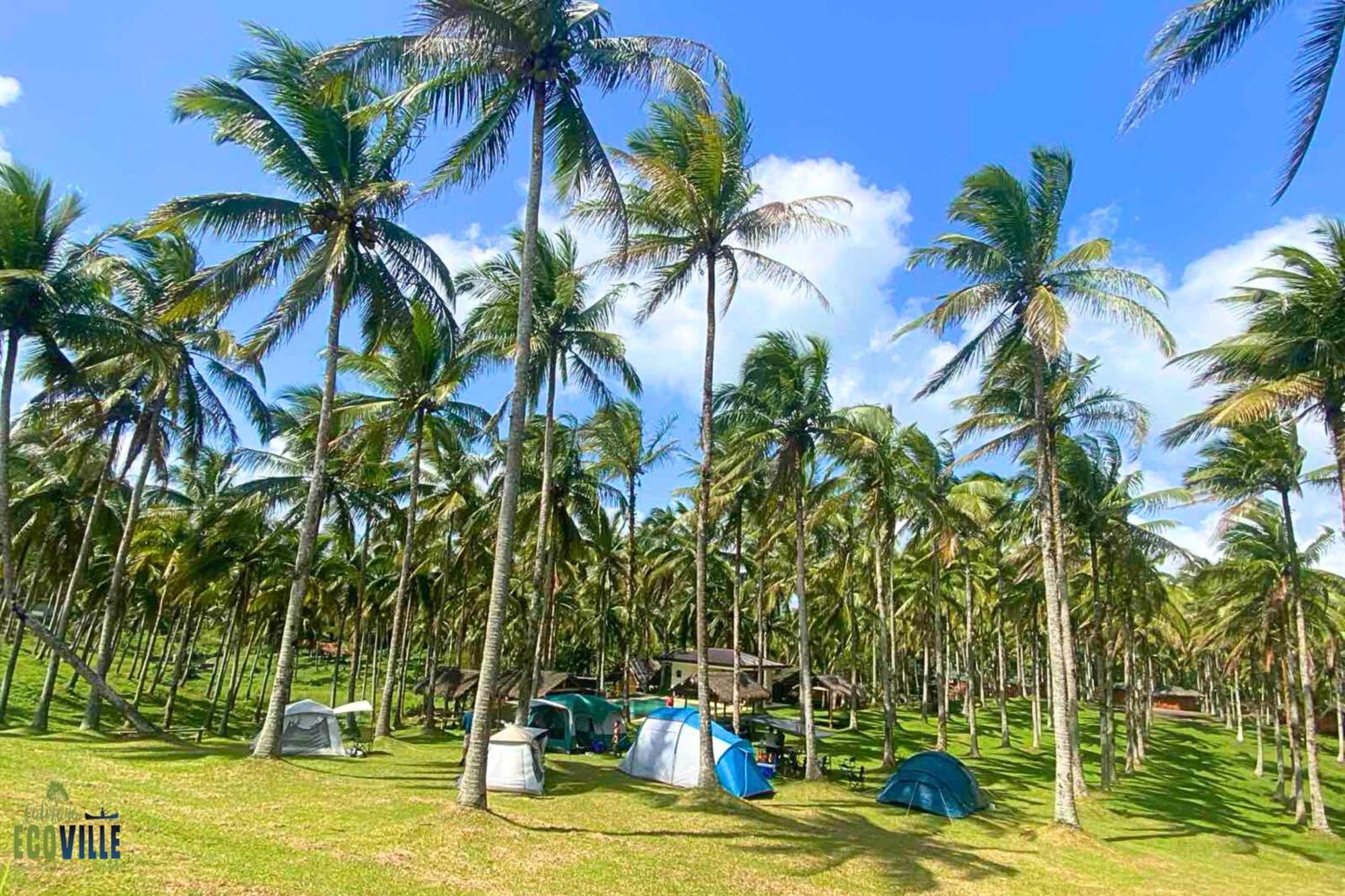 Caliraya Ecoville Recreation And Farm Resort Cavinti Eksteriør billede